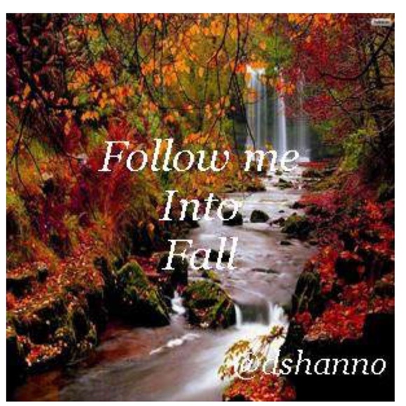 Follow Me To 500 K - Picture 14 of 15